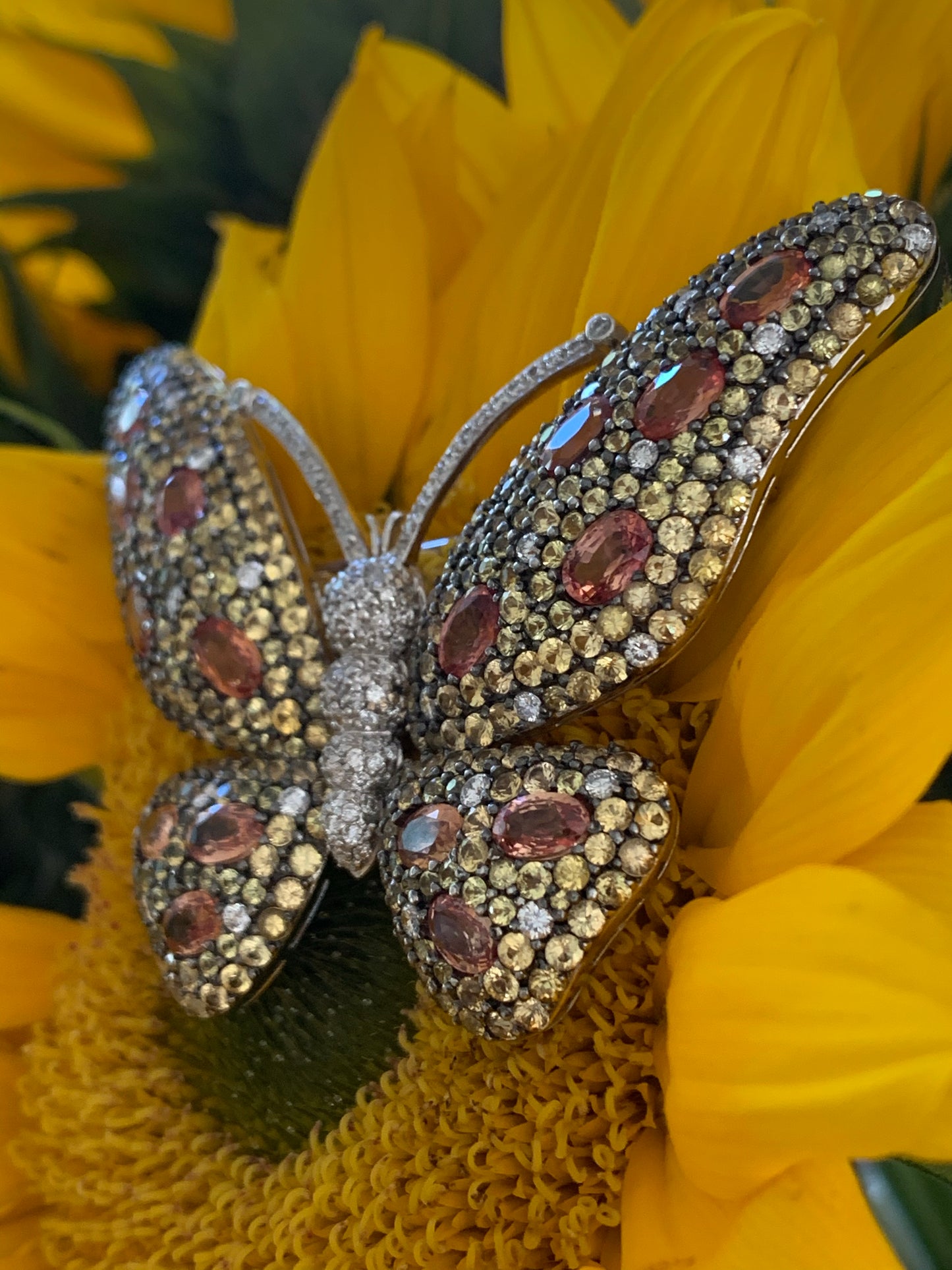 18k Diamond and Yellow Sapphire Butterfly Brooch