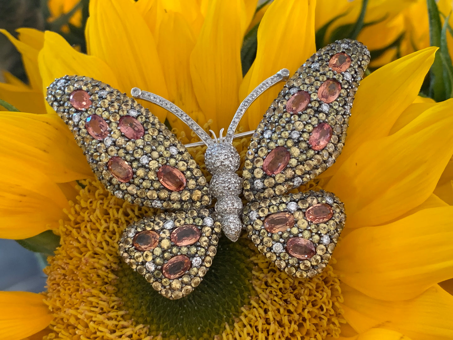 18k Diamond and Yellow Sapphire Butterfly Brooch